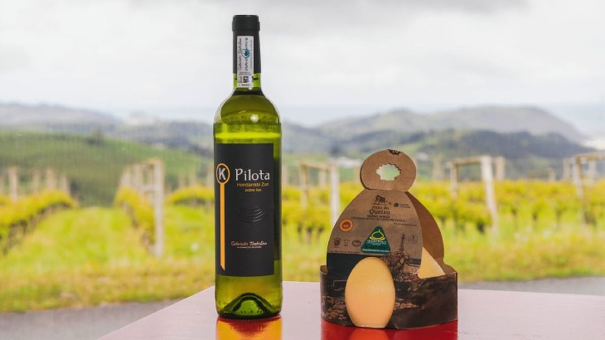 KPilota pazo do queixo