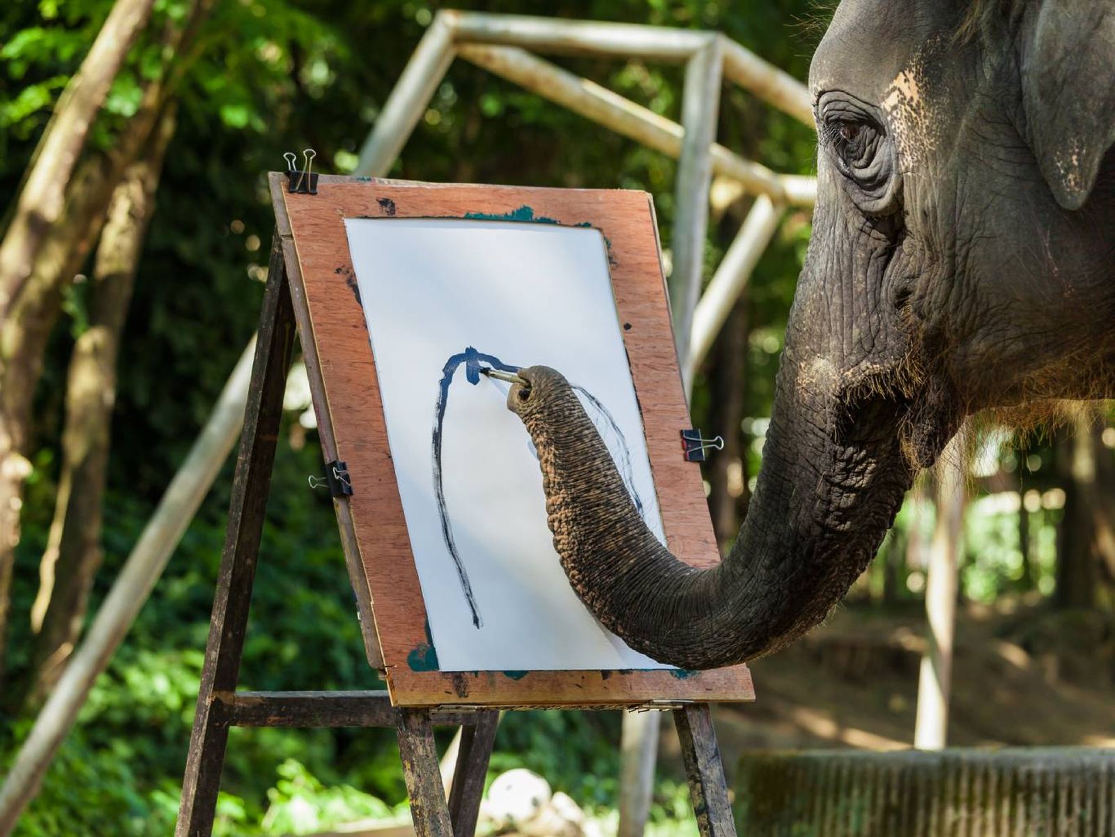 Elefante pintando. Elefante pintando.
