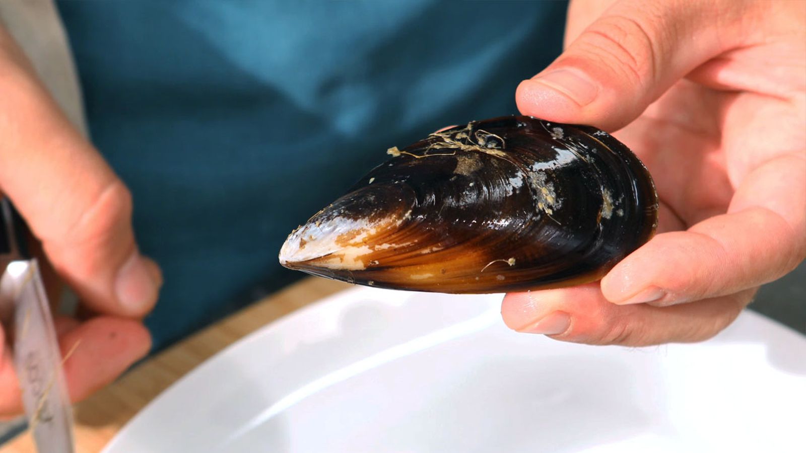 Cómo limpiar mejillones Cómo limpiar mejillones