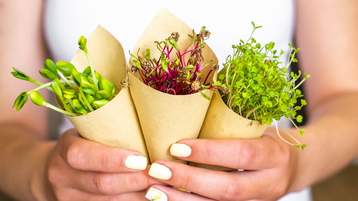 Hay mútiples tipos de microvegetales