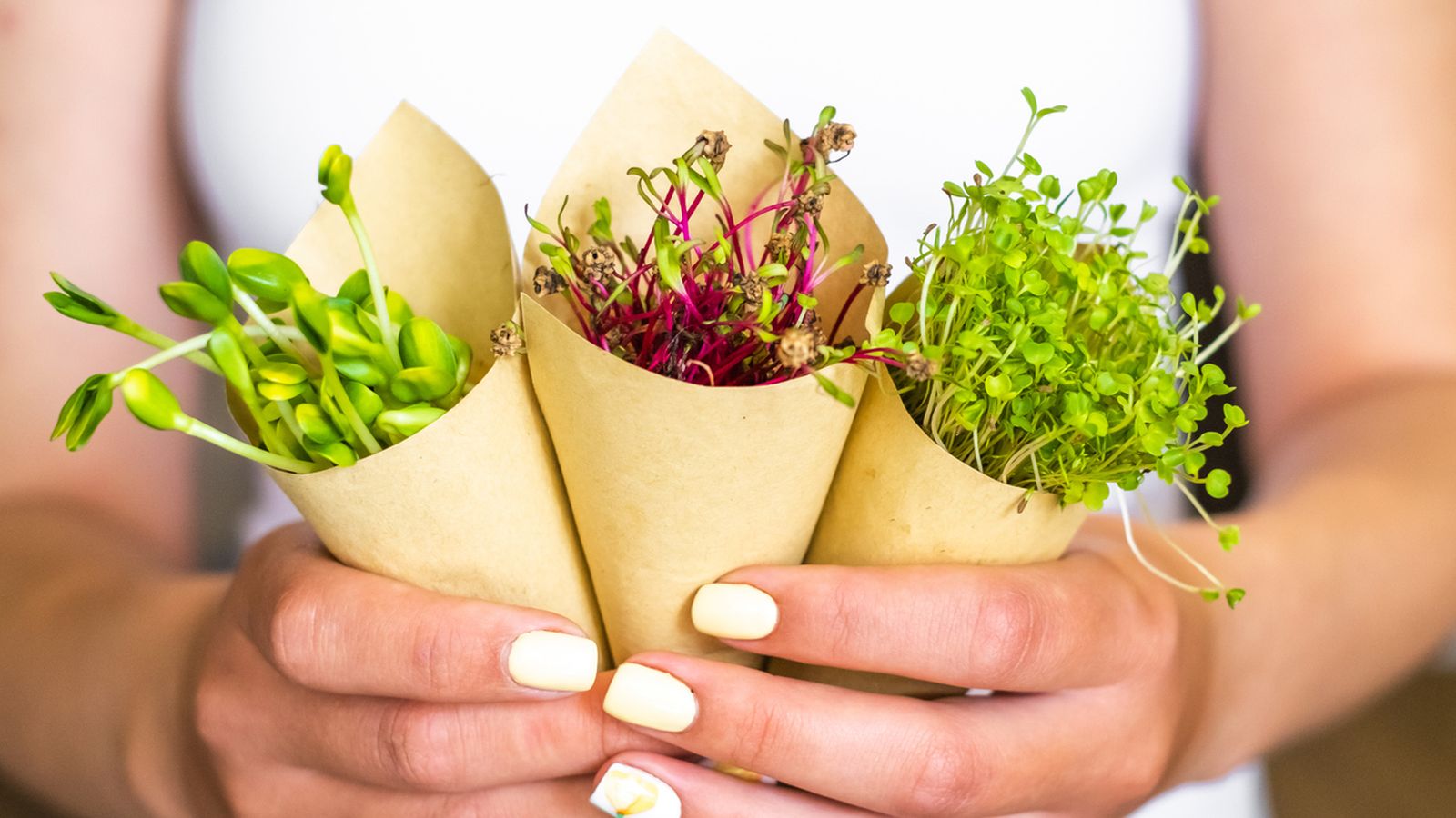 Hay mútiples tipos de microvegetales Hay mútiples tipos de microvegetales