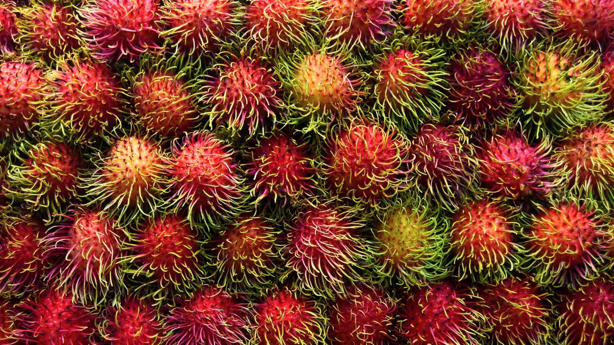 Rambutan, la fruta con pelos