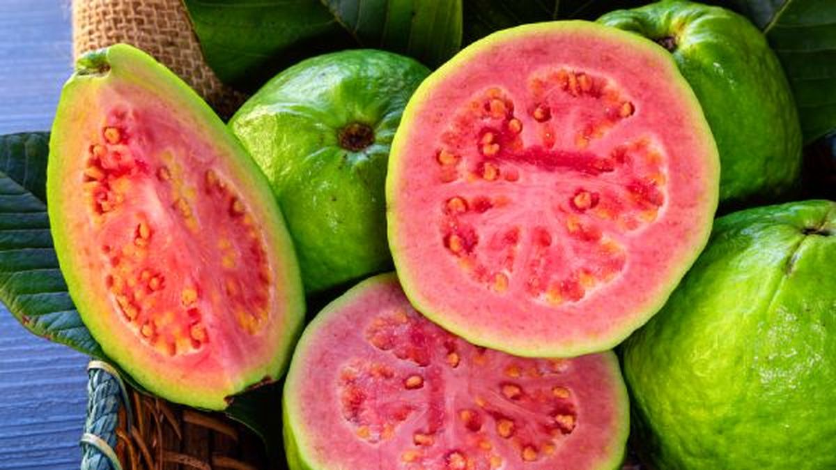 Frutas exóticas- guayaba