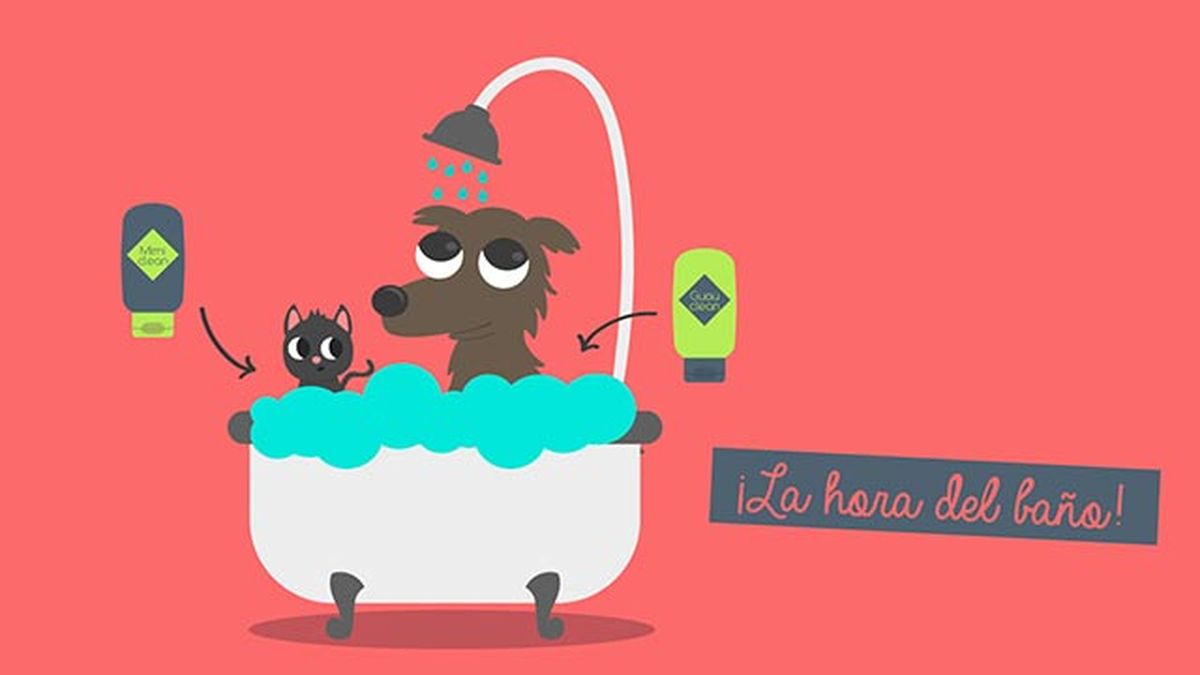 Muda pelo mascotas bano