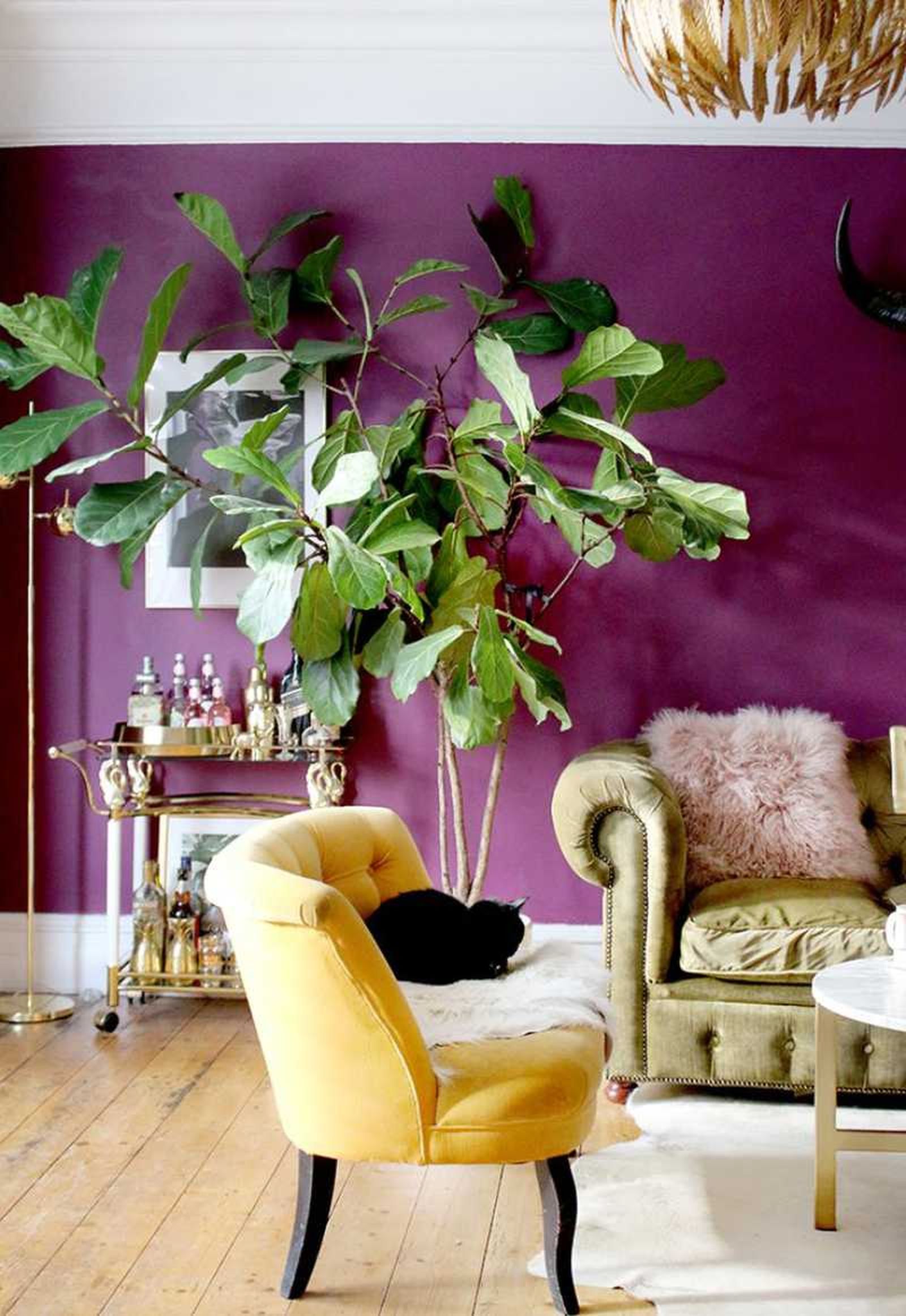 Salón con detalles púrpuras en la pared.