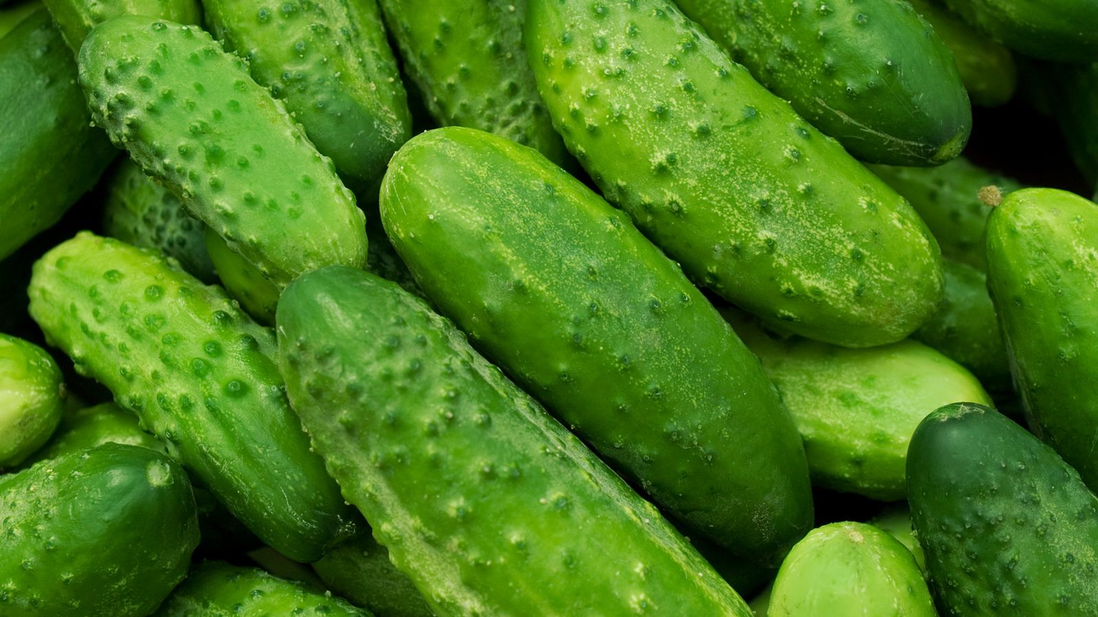 El pepino, el alimento con más agua