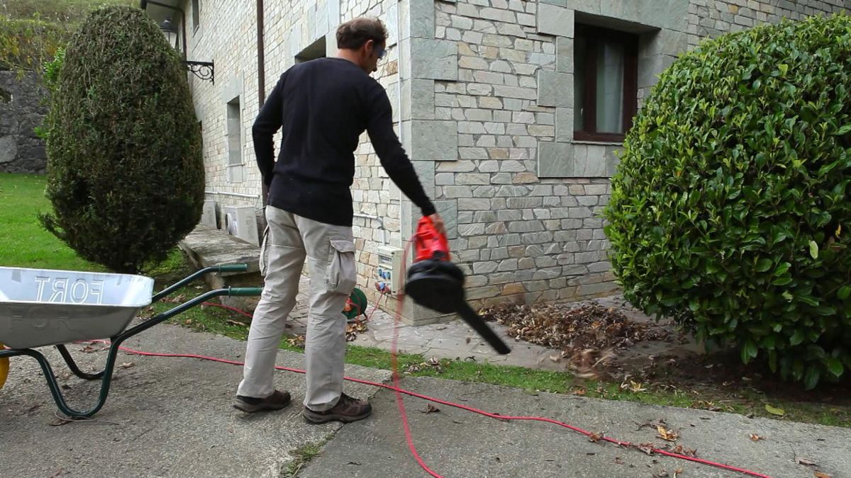 Sopladores y aspiradores de hojas paso 10