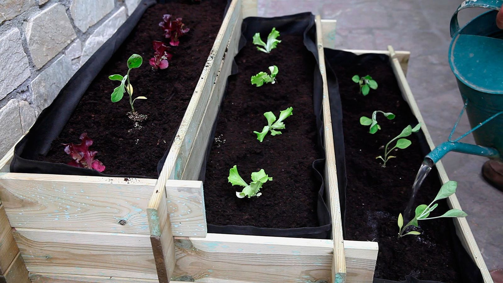 Huerto en escalera paso 6