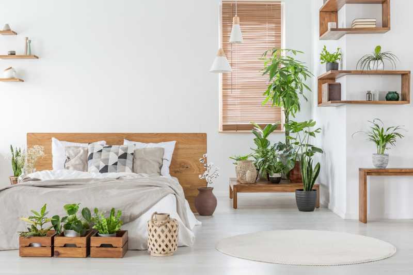 Dormitorio con baldas originales de madera. Dormitorio con baldas originales de madera.