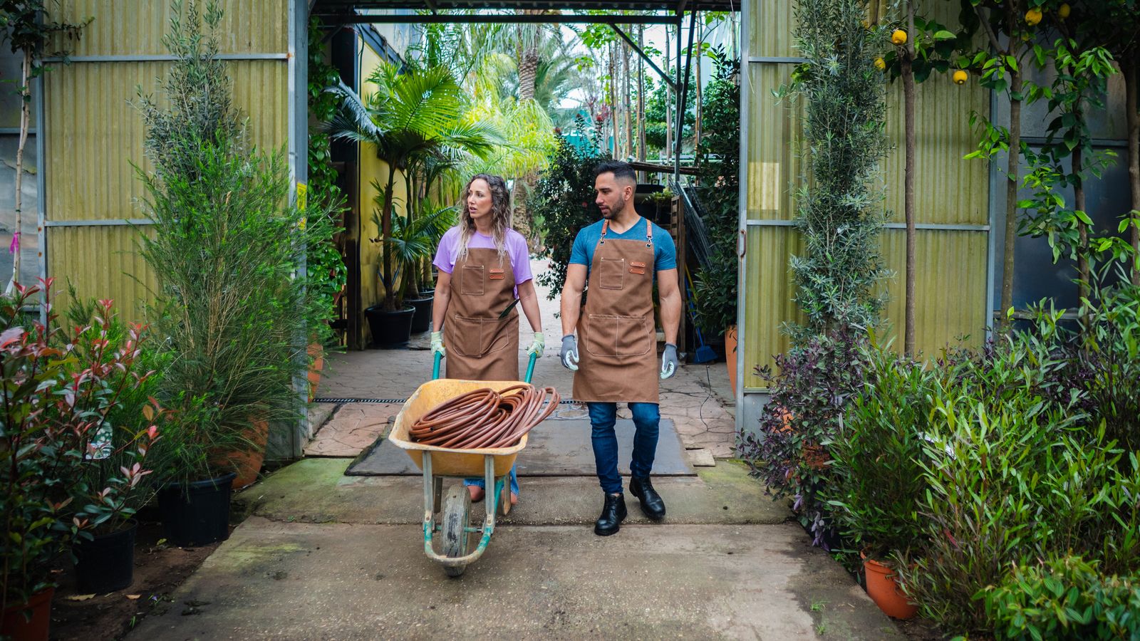 La parte aérea es lo primero que se ve, pero lo que más nos debe preocupar son las raíces