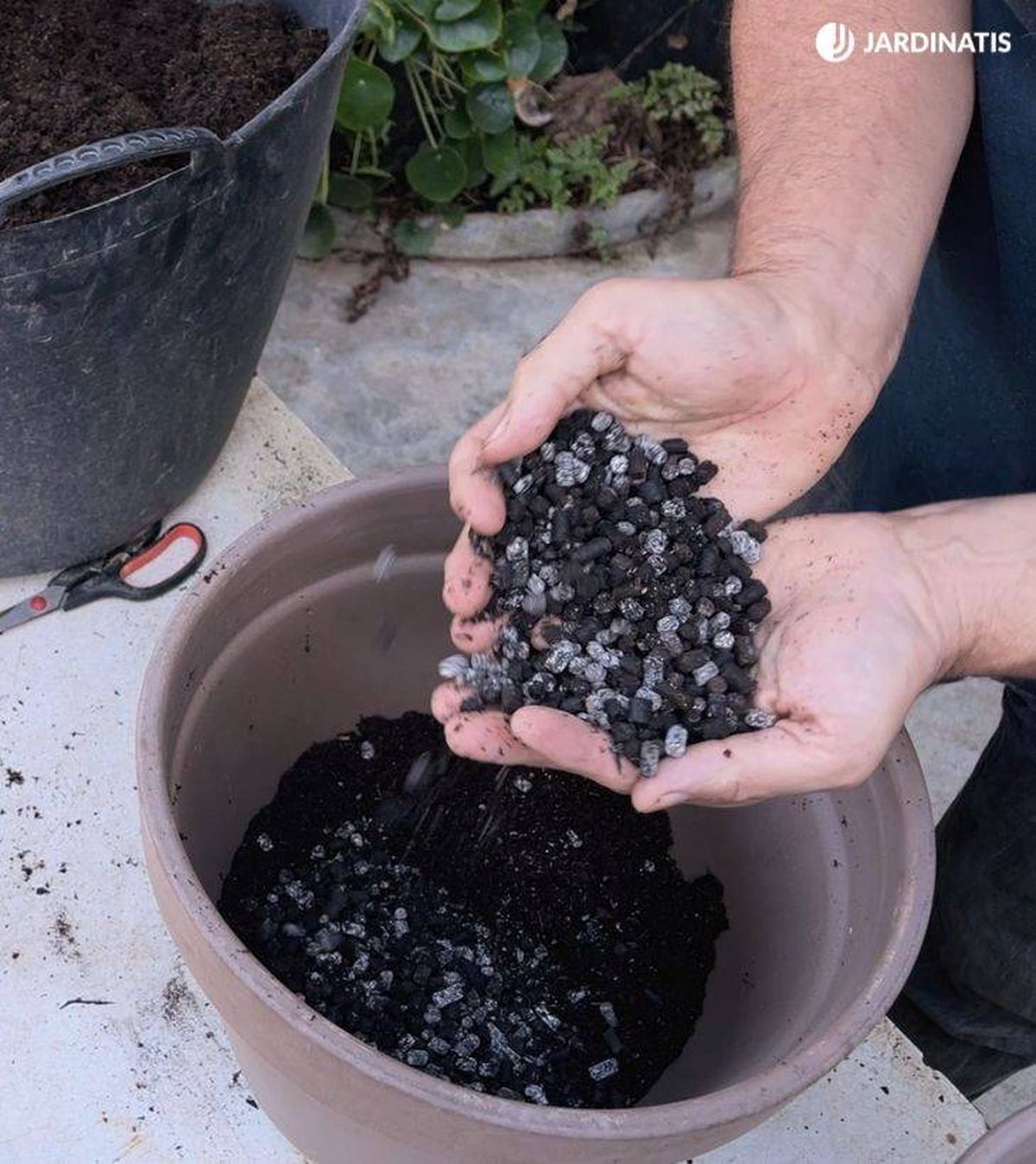 Abono orgánico en la base del contenedor