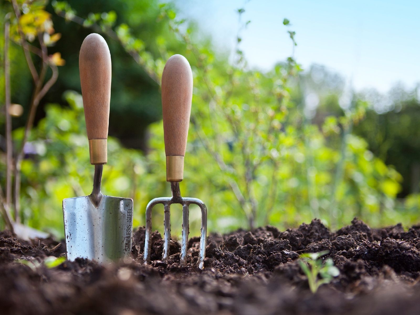 Aprende a utilizar las herramientas básicas de jardín Aprende a utilizar las herramientas básicas de jardín