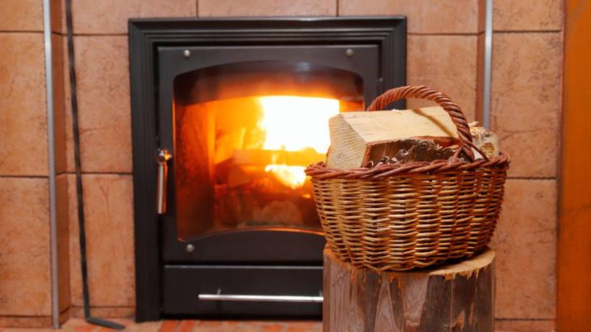 tipos de estufas a  lena 1