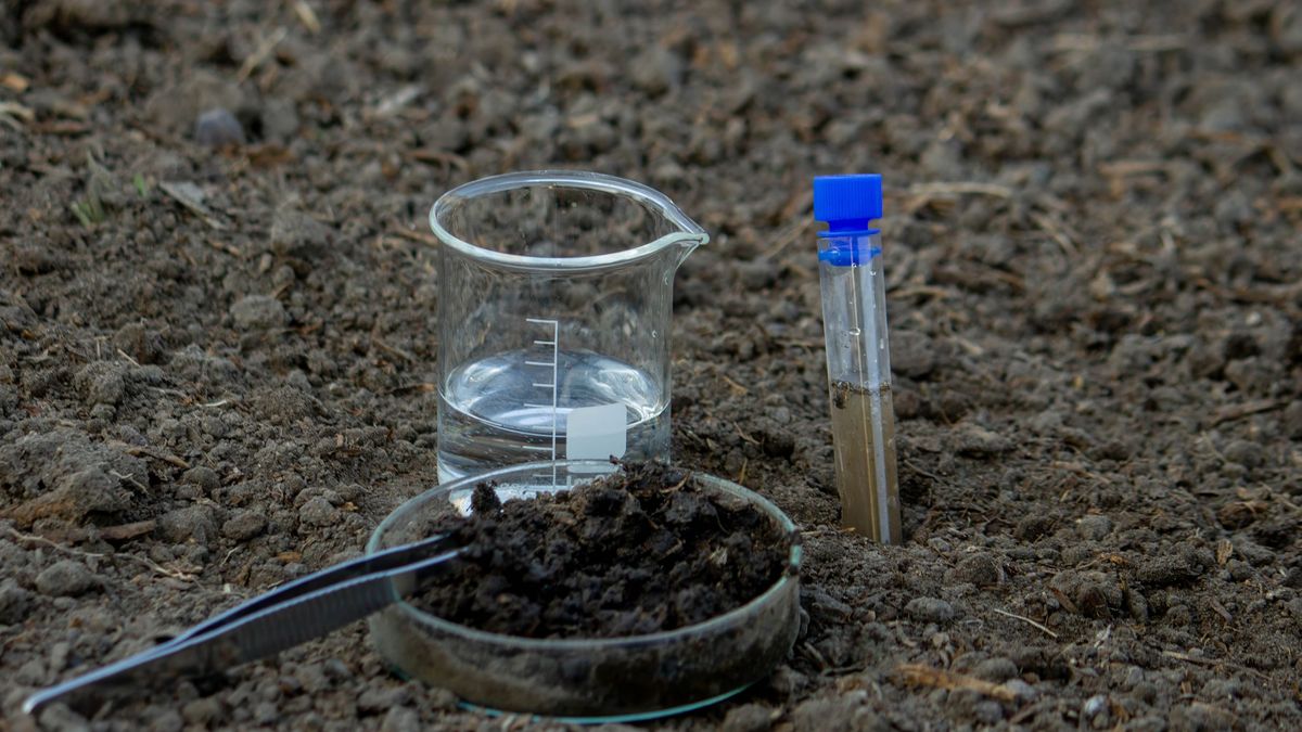 Una prueba sencilla para evaluar la estructura del suelo consiste en observar cómo infiltra el agua