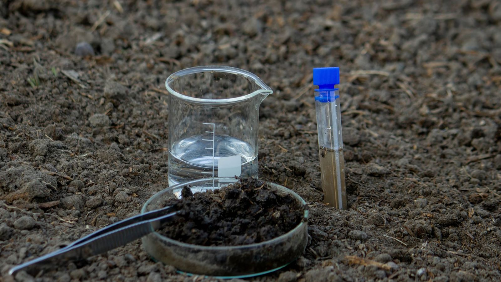 Una prueba sencilla para evaluar la estructura del suelo consiste en observar cómo infiltra el agua