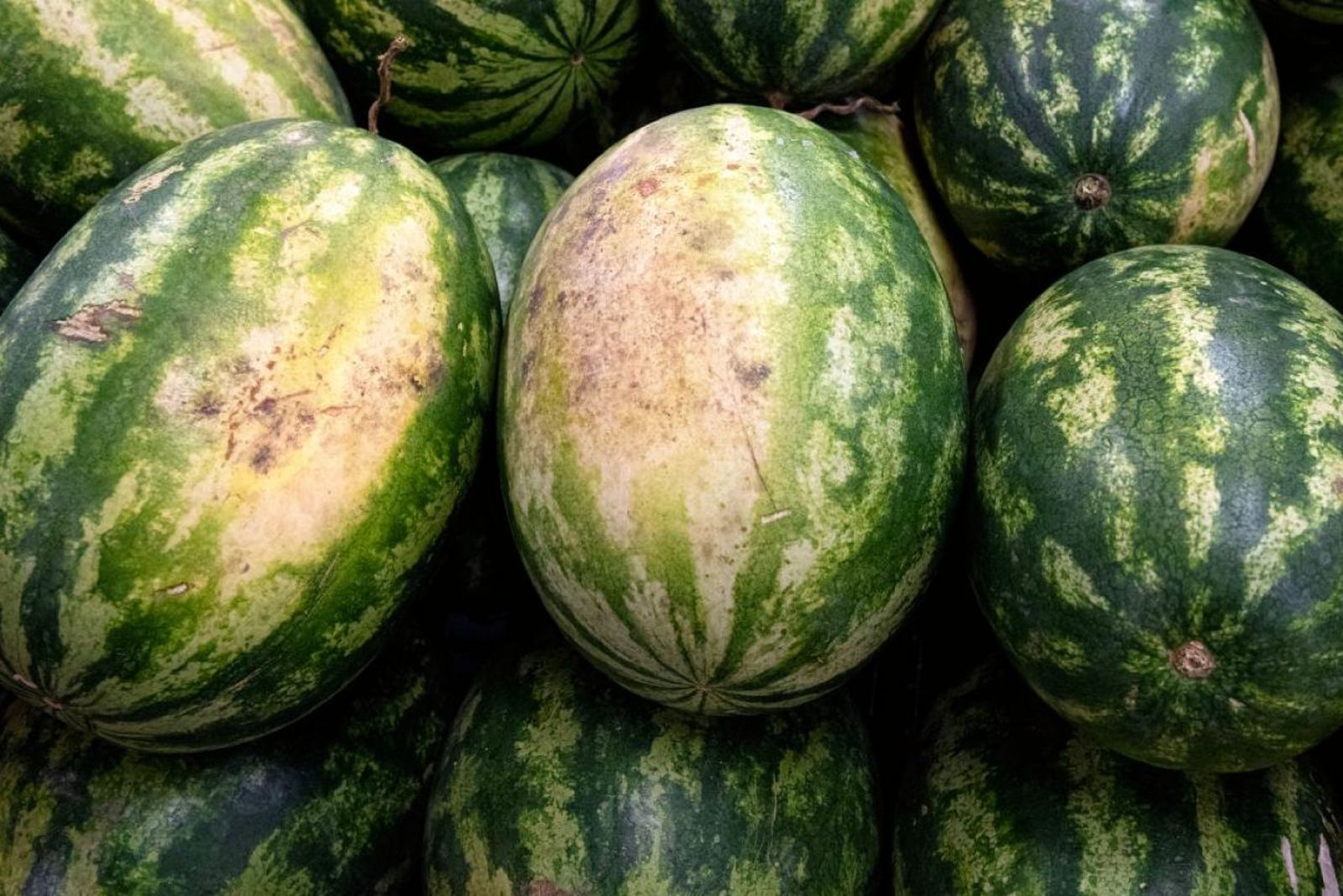 Trucos para elegir una buena sandía Trucos para elegir una buena sandía