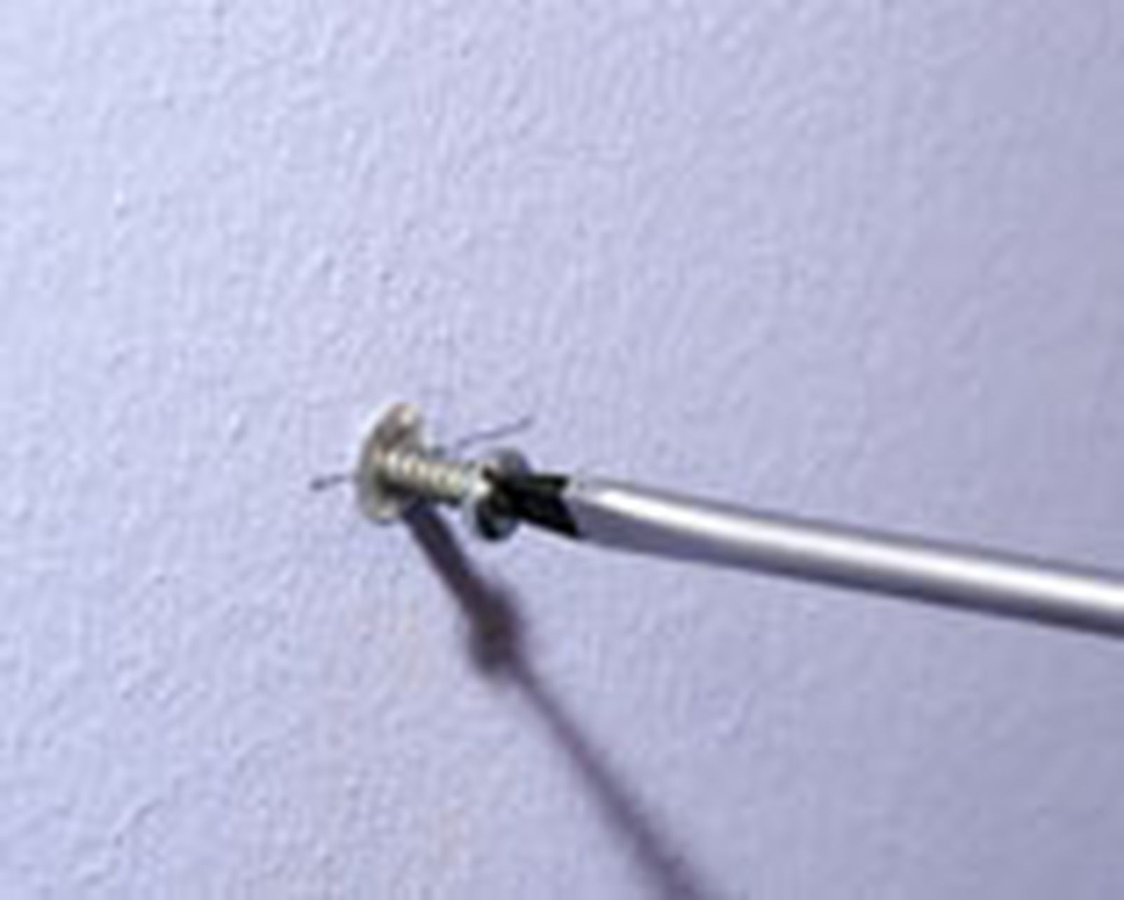 302 col bald pared p6
