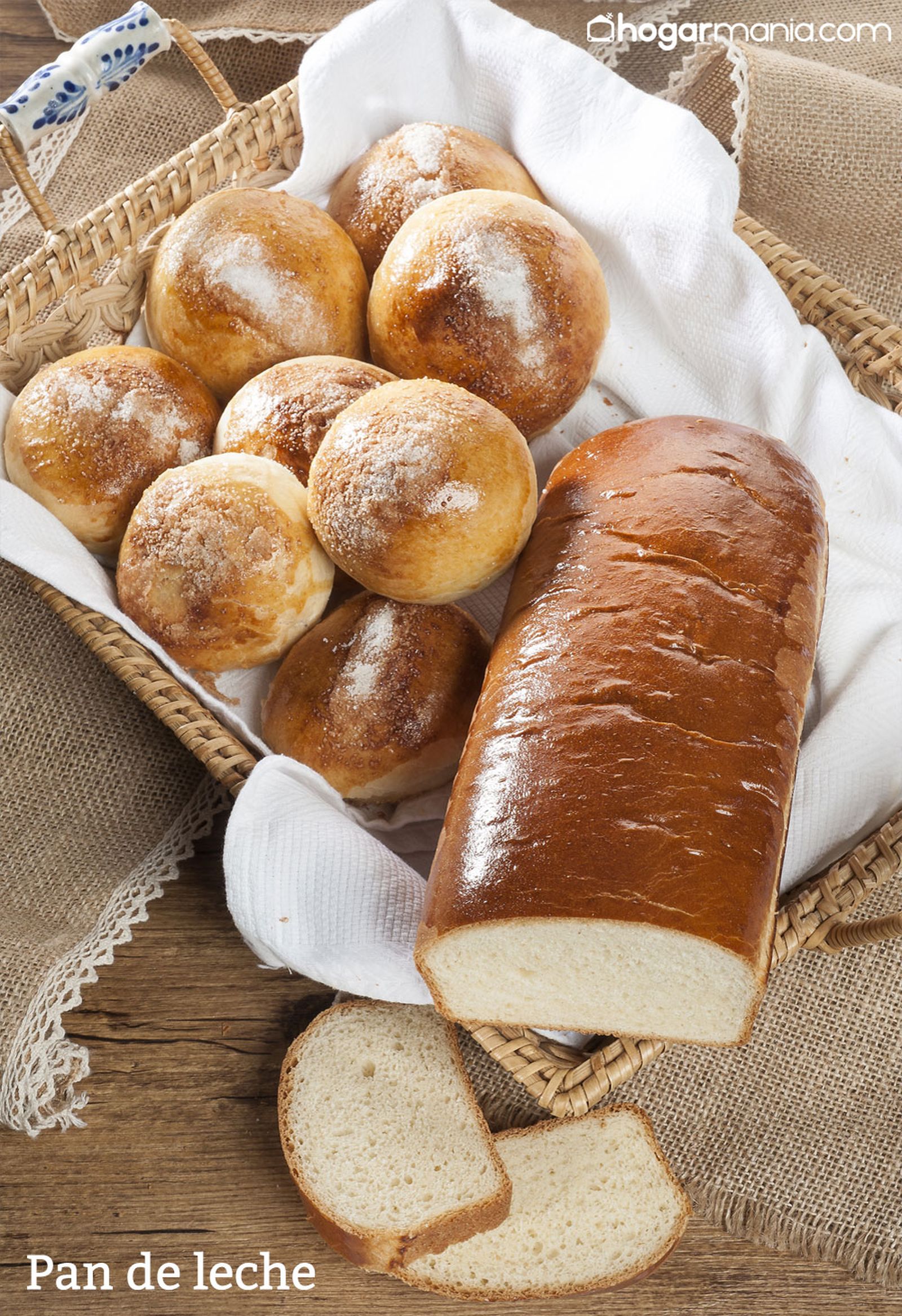 CABI0080 Joseba pan de leche xl vertical CABI0080 Joseba pan de leche xl vertical