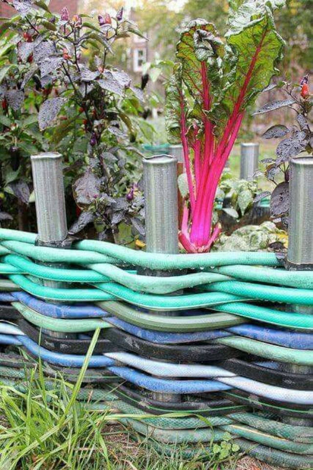 reutilizar manguera vieja 5