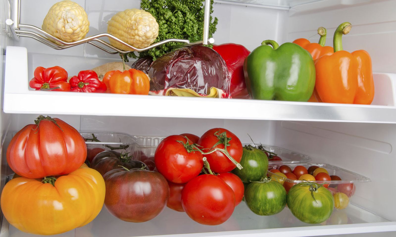 verduras conservacion mas tiempo xl