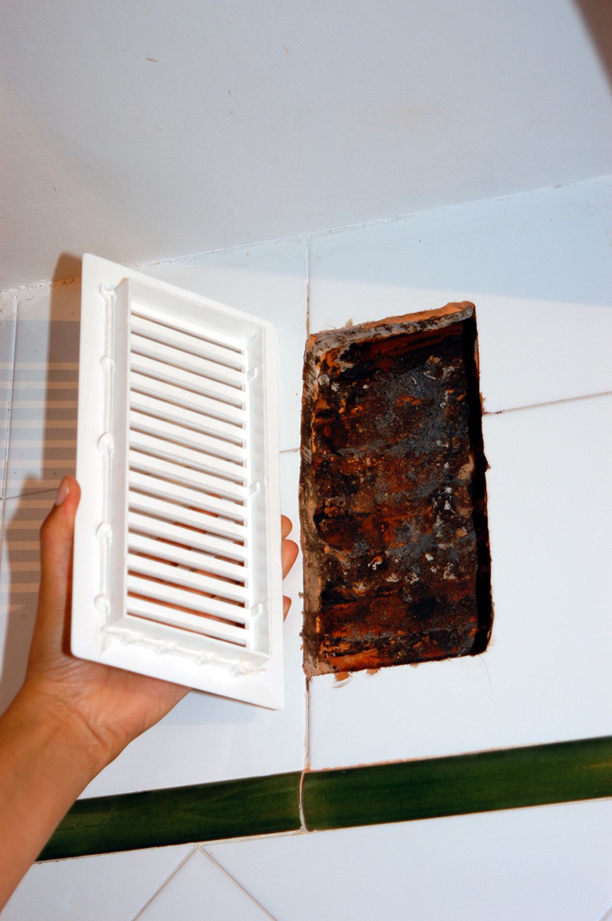 Cambiar rejillas metálicas paso 6