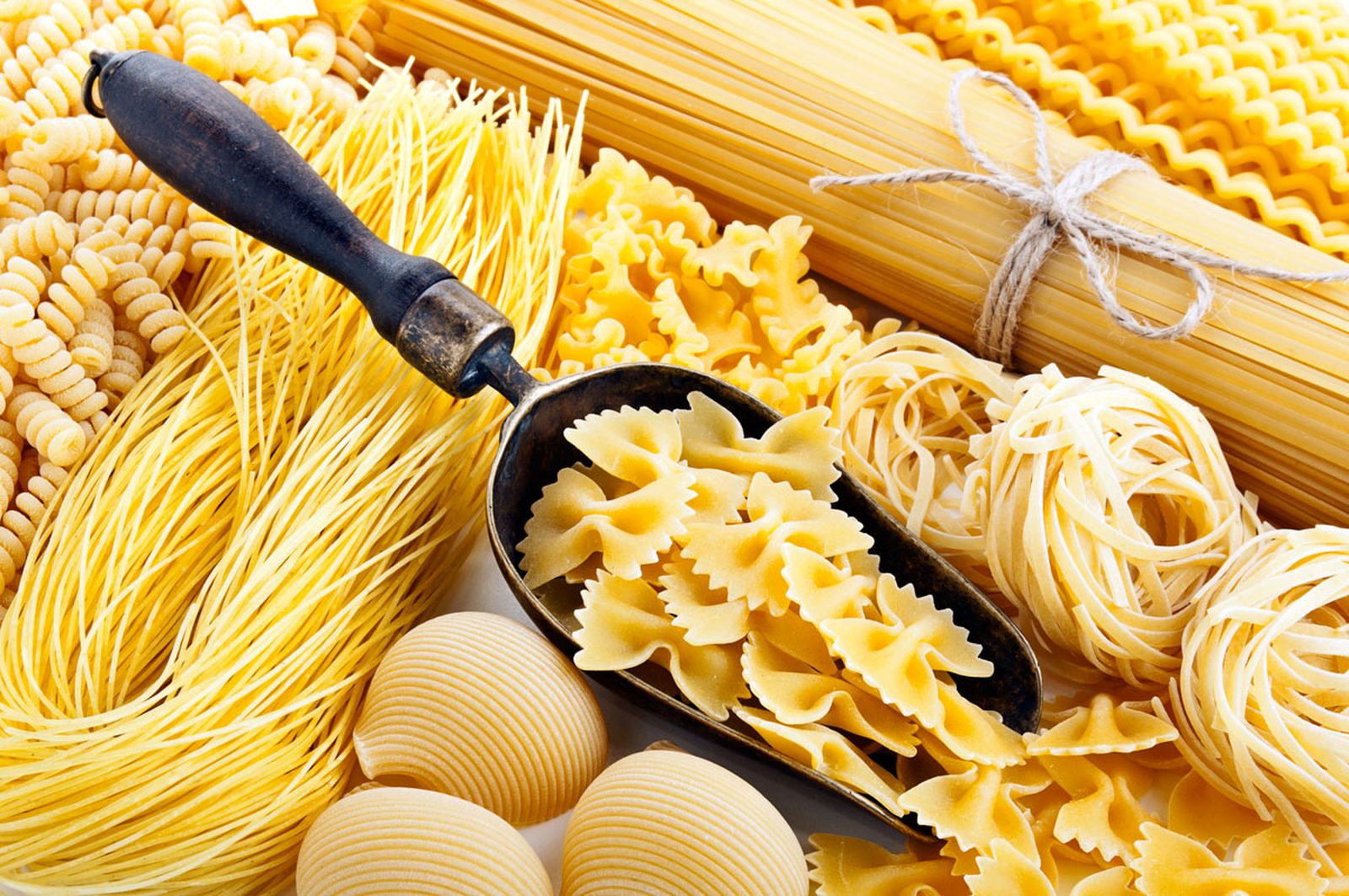 tipos de pasta xl