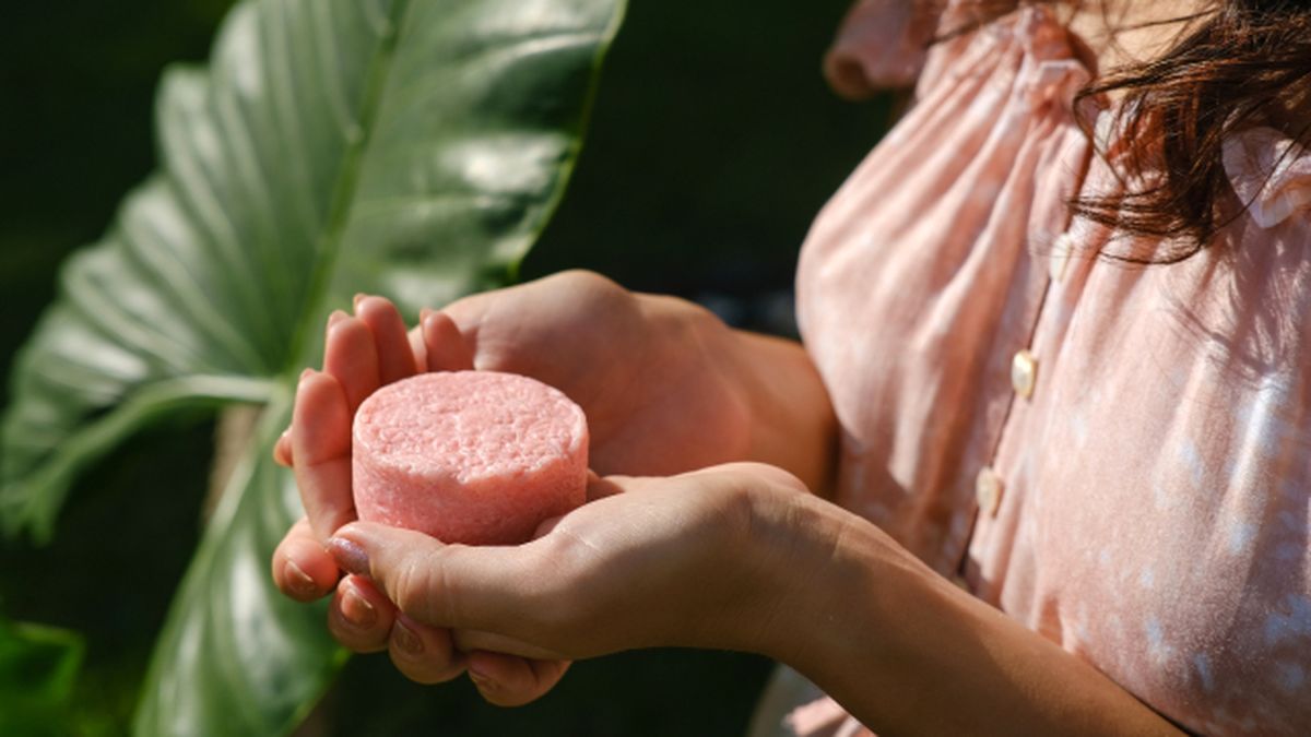 cuales son los mejores champus solidos segun la OCU 2