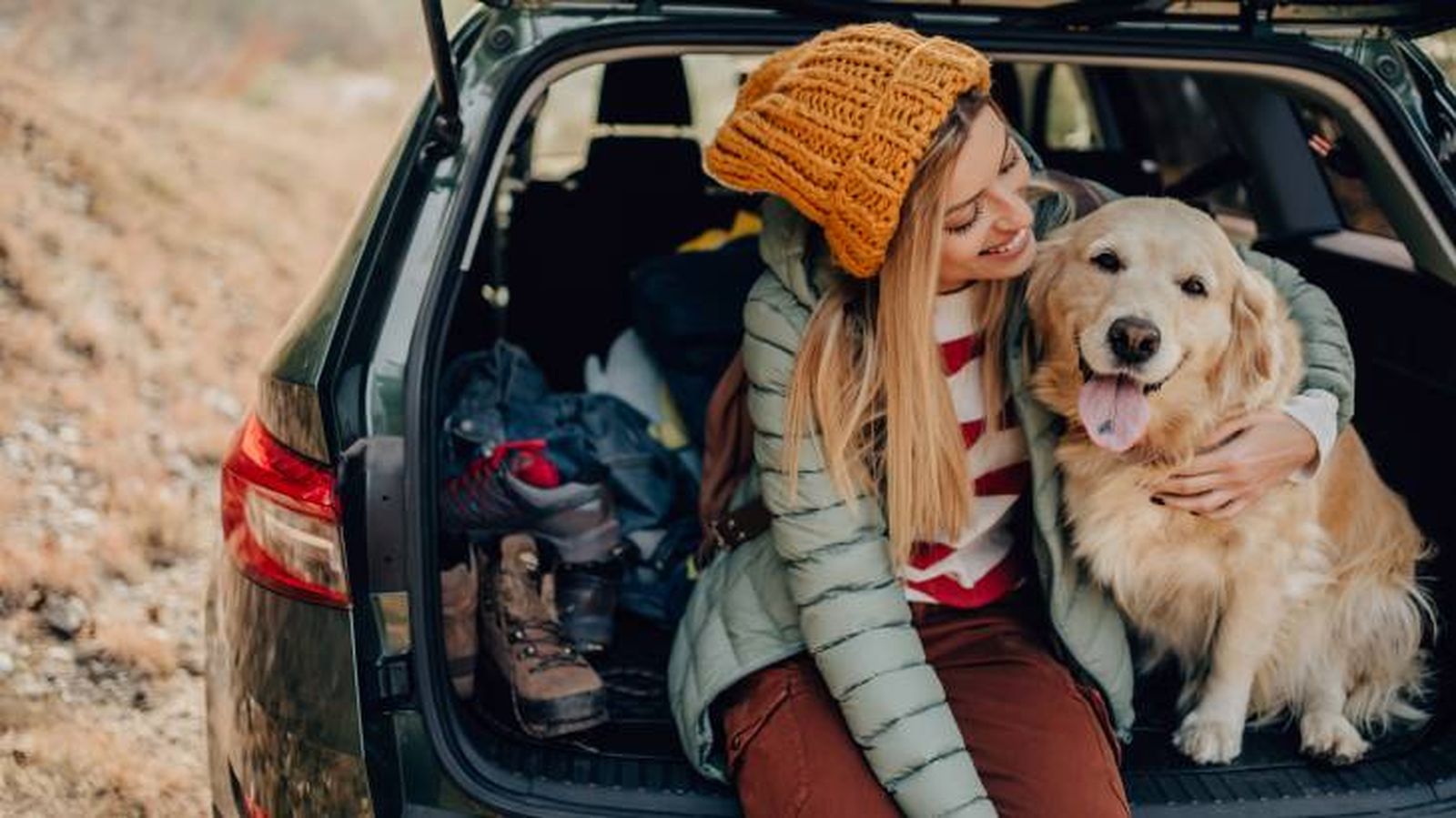 ventajas viajar mascotas beneficios ventajas viajar mascotas beneficios