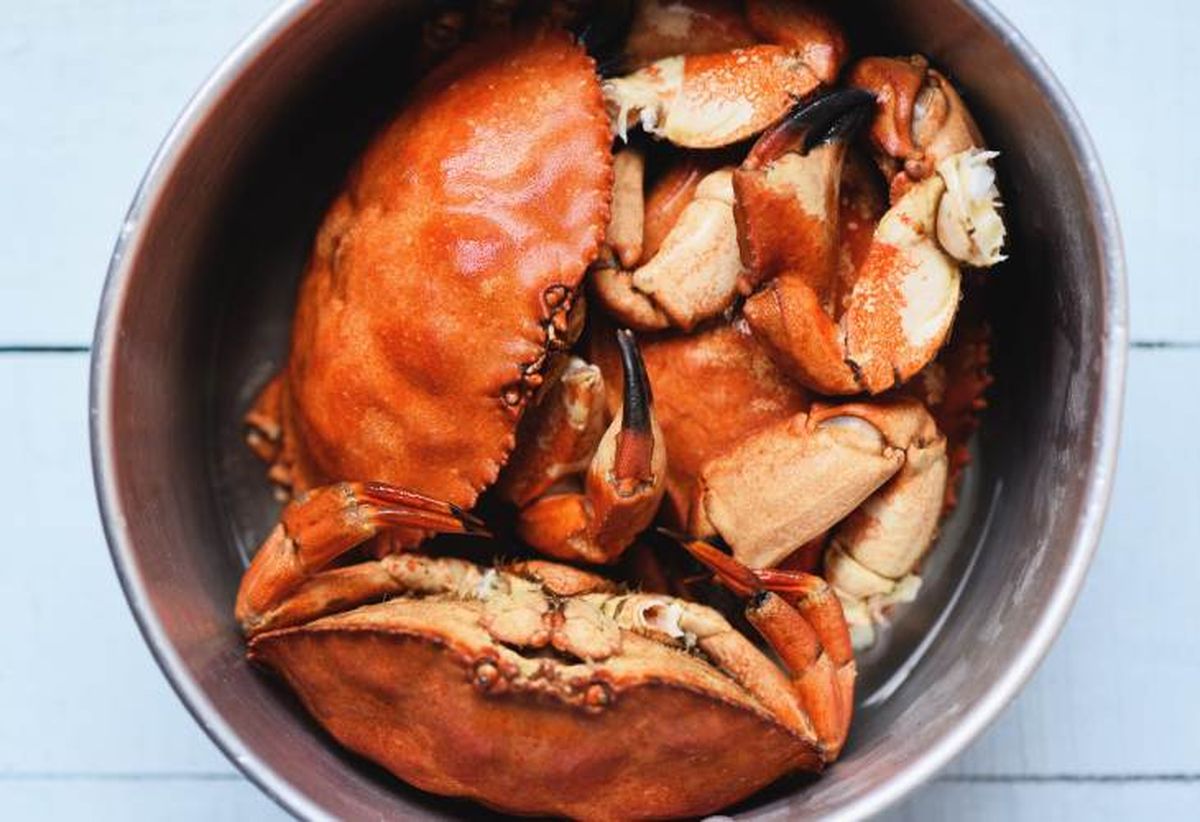 como cocer buey de mar en casa 01