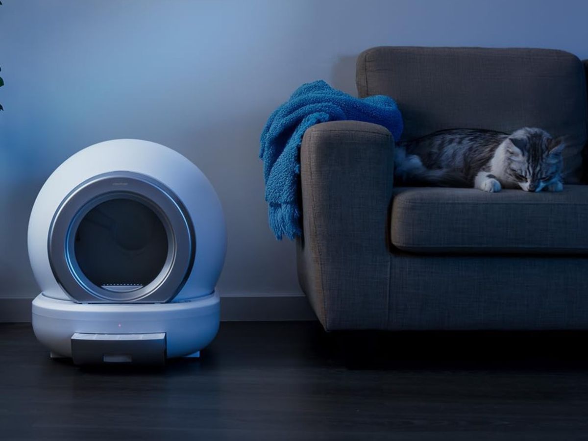 Arenero automático de Cecotec