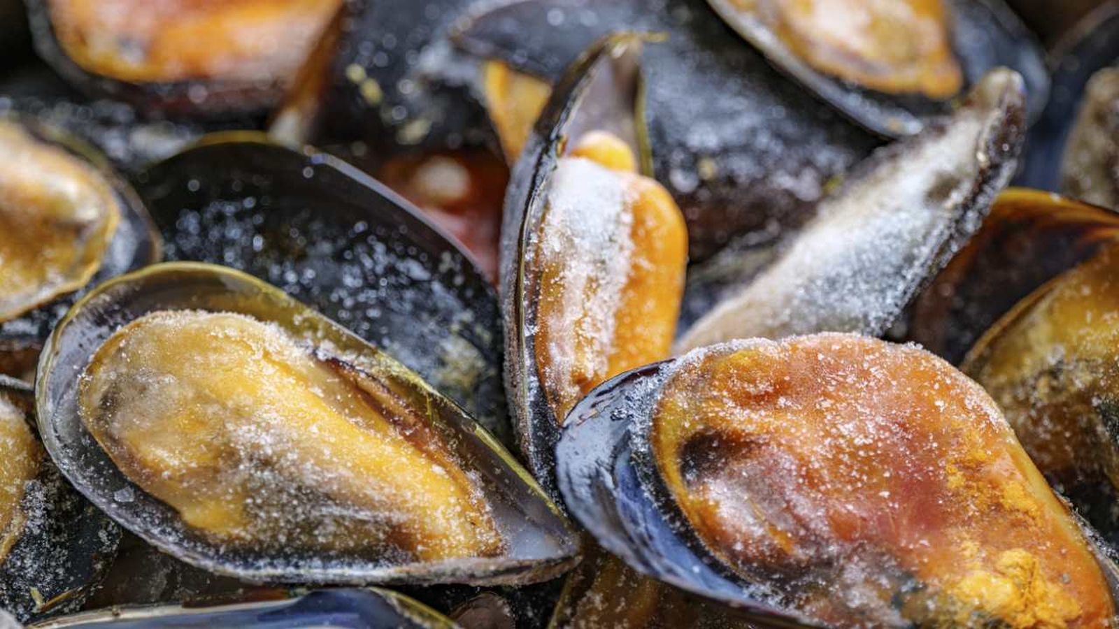 Congelar los mejillones permite mantenerlos frescos para utilizarlos en el futuro