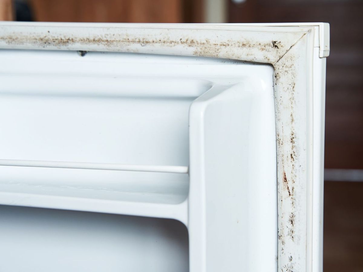 Goma de la nevera sucia