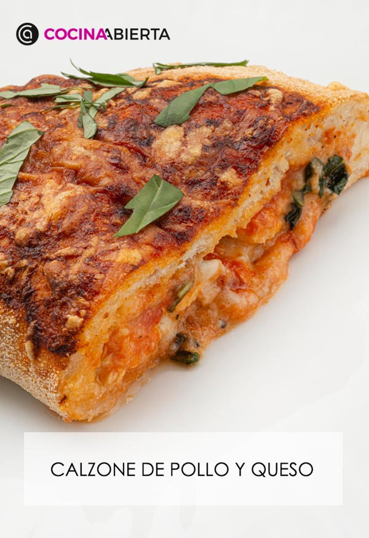 karl6646 calzone pollo v