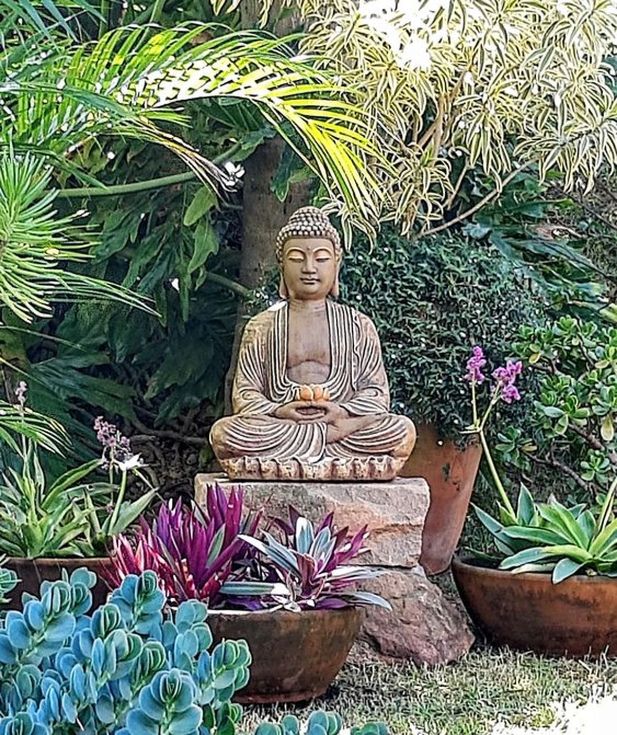 buda jardin pinterest