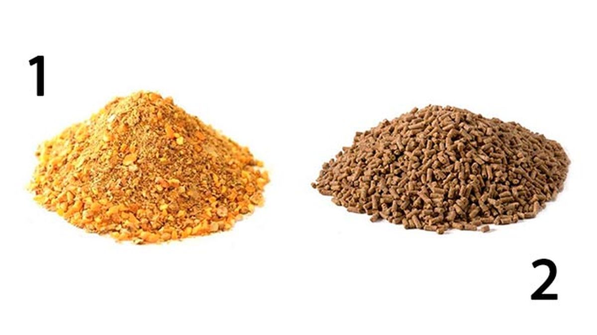 complementos ideales gallinero perfecto 4 pienso gallinas