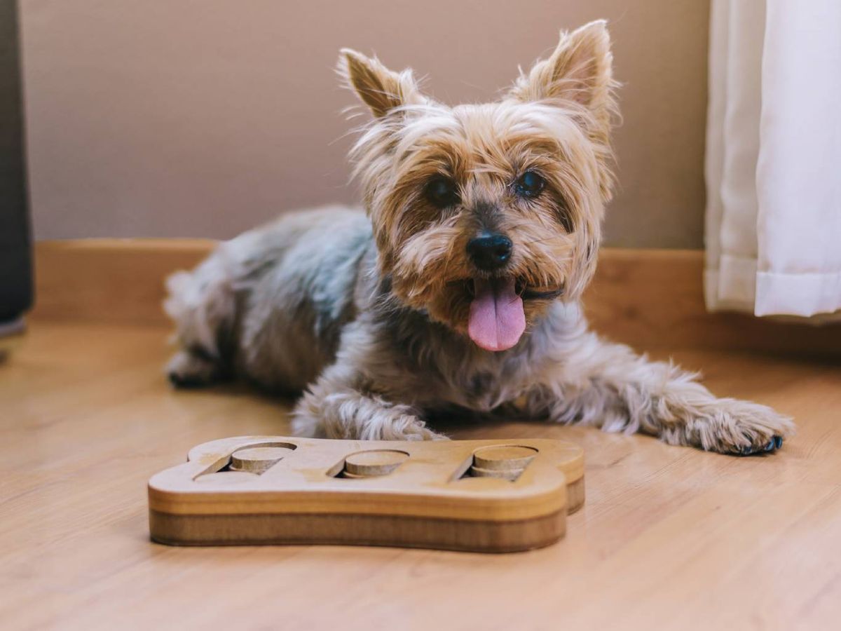 Los juegos de inteligencia ayudan a ralentizar el deterioro cognitivo.