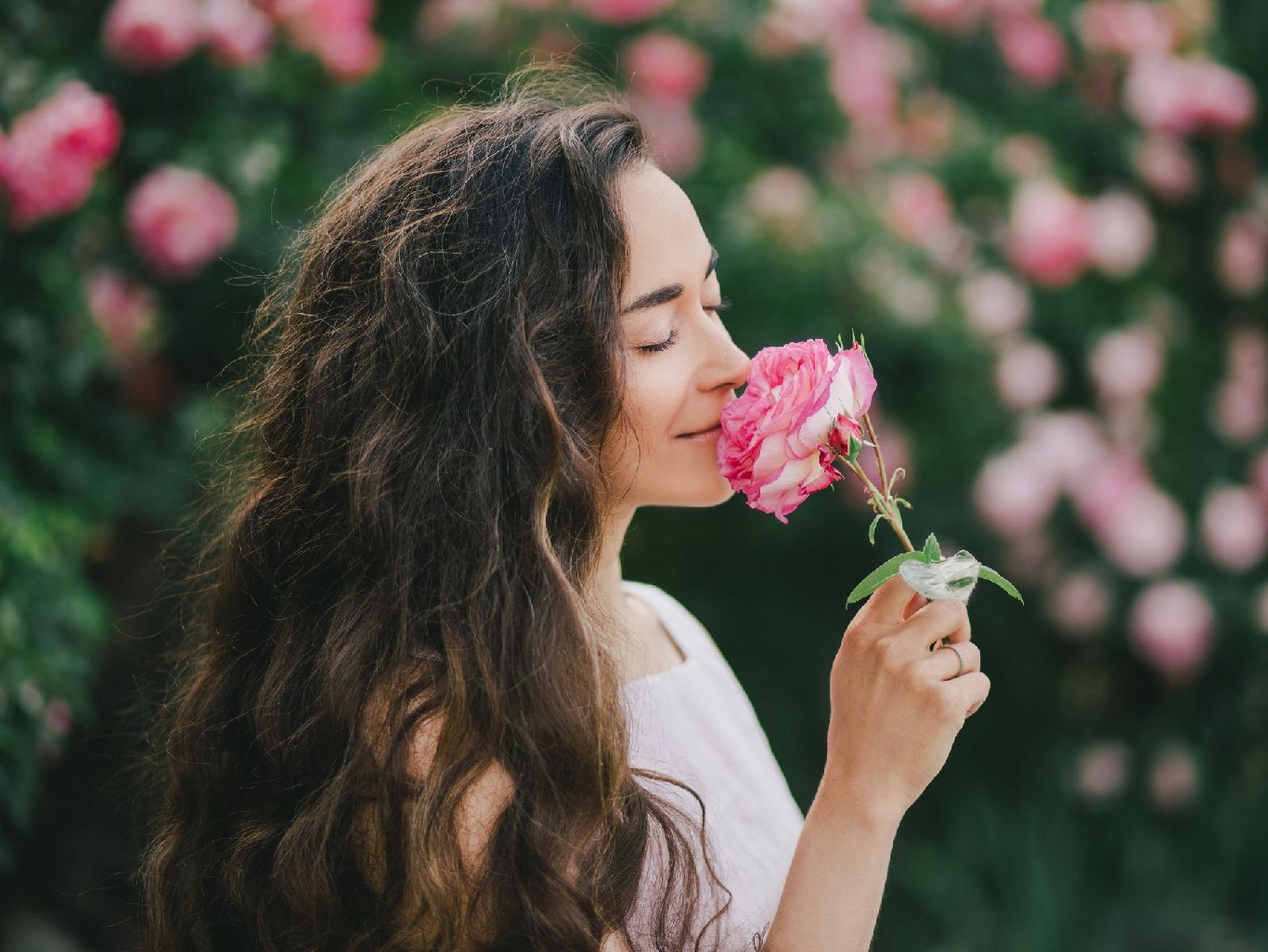 Muchas de estas flores están relacionadas con valores emocionales, espirituales o familiares