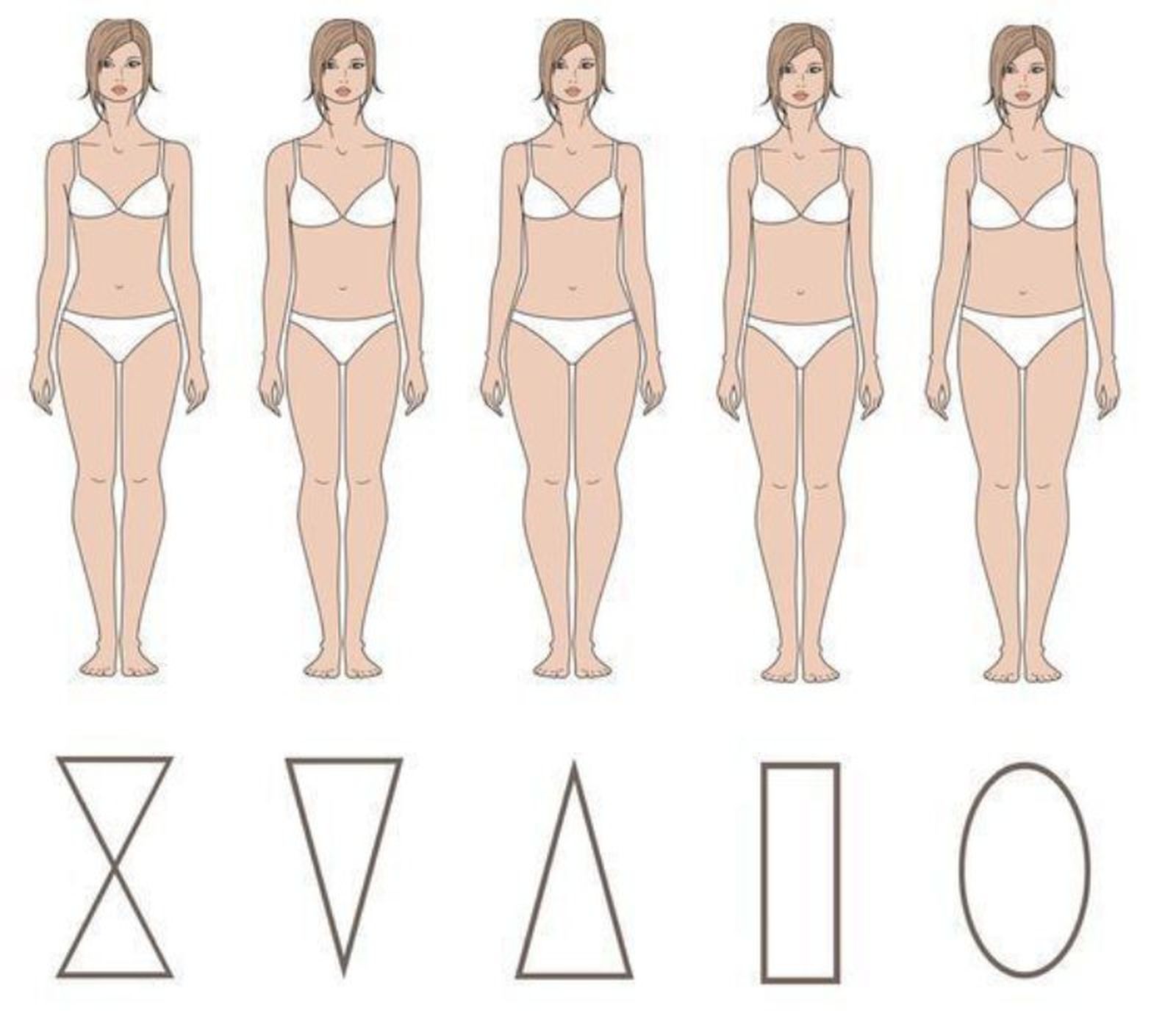 Los diferentes tipos de cuerpo de mujer Los diferentes tipos de cuerpo de mujer