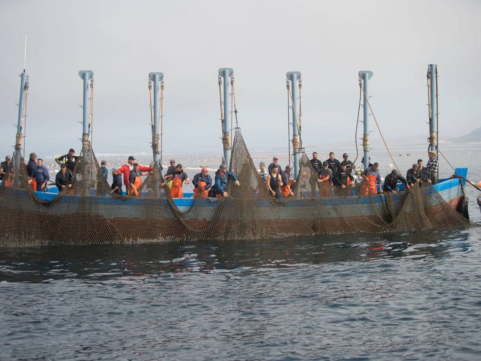 Pesca en almadraba en las costas de Cádiz, una técnica milenaria.