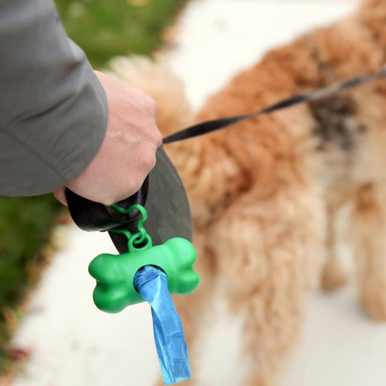 productos para perros mas vendidos amazon bolsas excrementos productos para perros mas vendidos amazon bolsas excrementos