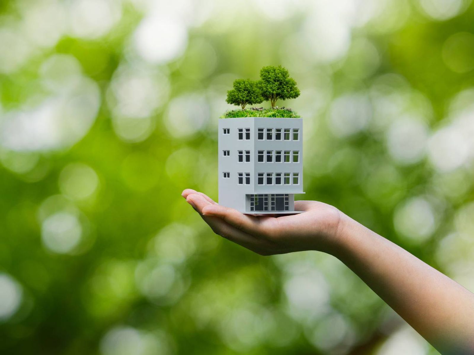 Aplicar la arquitectura sostenible está al alcance de todo el mundo. Aplicar la arquitectura sostenible está al alcance de todo el mundo.