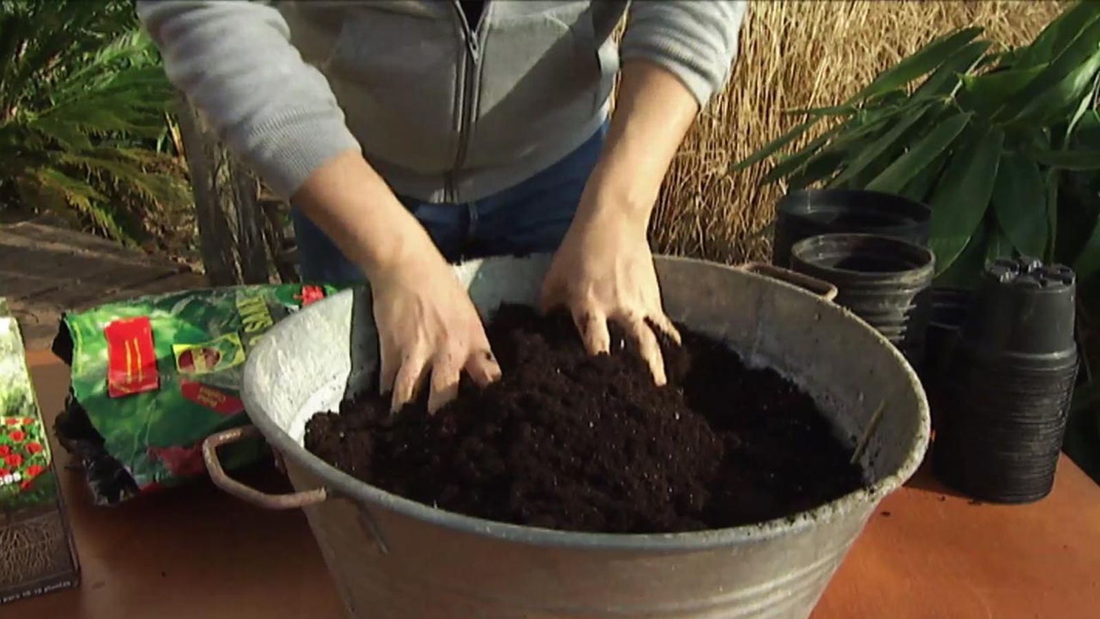 brico 631 jardin reproducir plantas vivaces sustrato