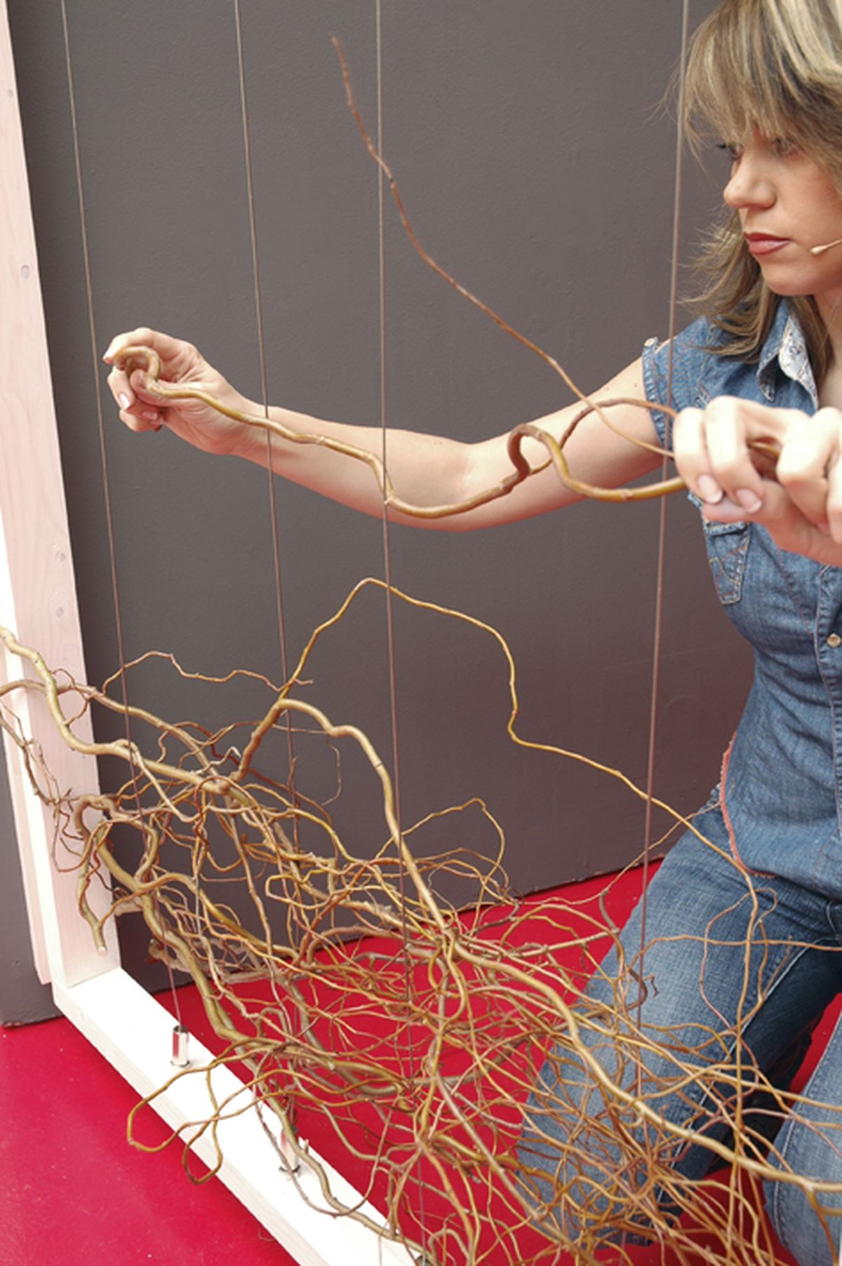 Cómo hacer un separador de ambientes con ramas paso 8