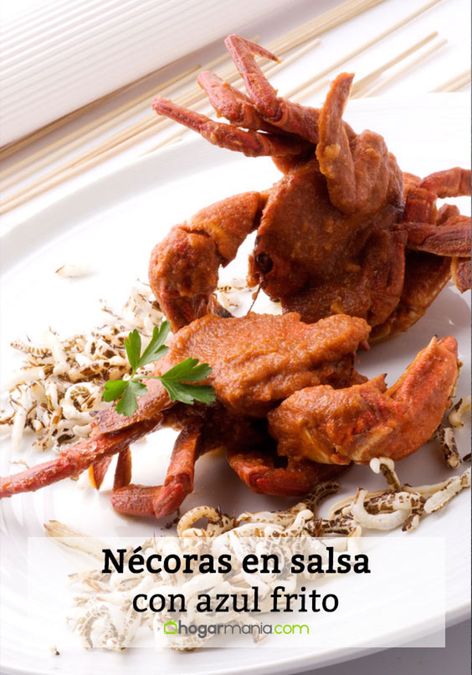 necoras en salsa con arroz frito pin necoras en salsa con arroz frito pin