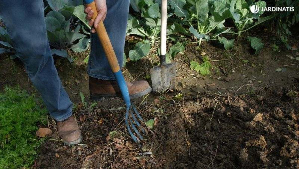 Airea la tierra adecuadamente