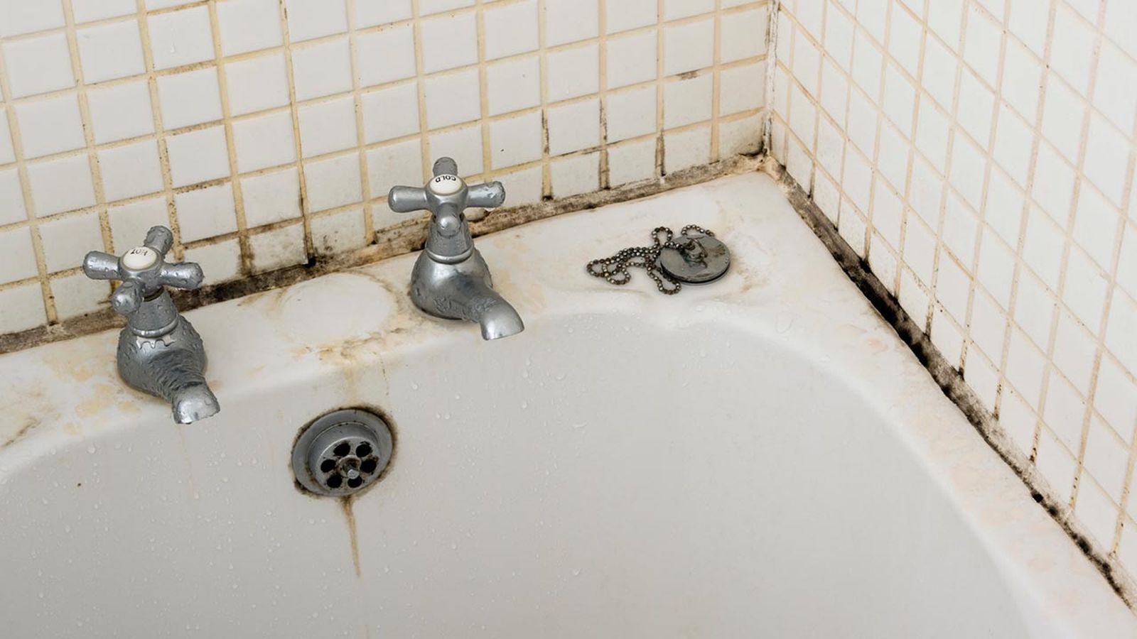 como quitar el moho manchas negras de la banera ducha