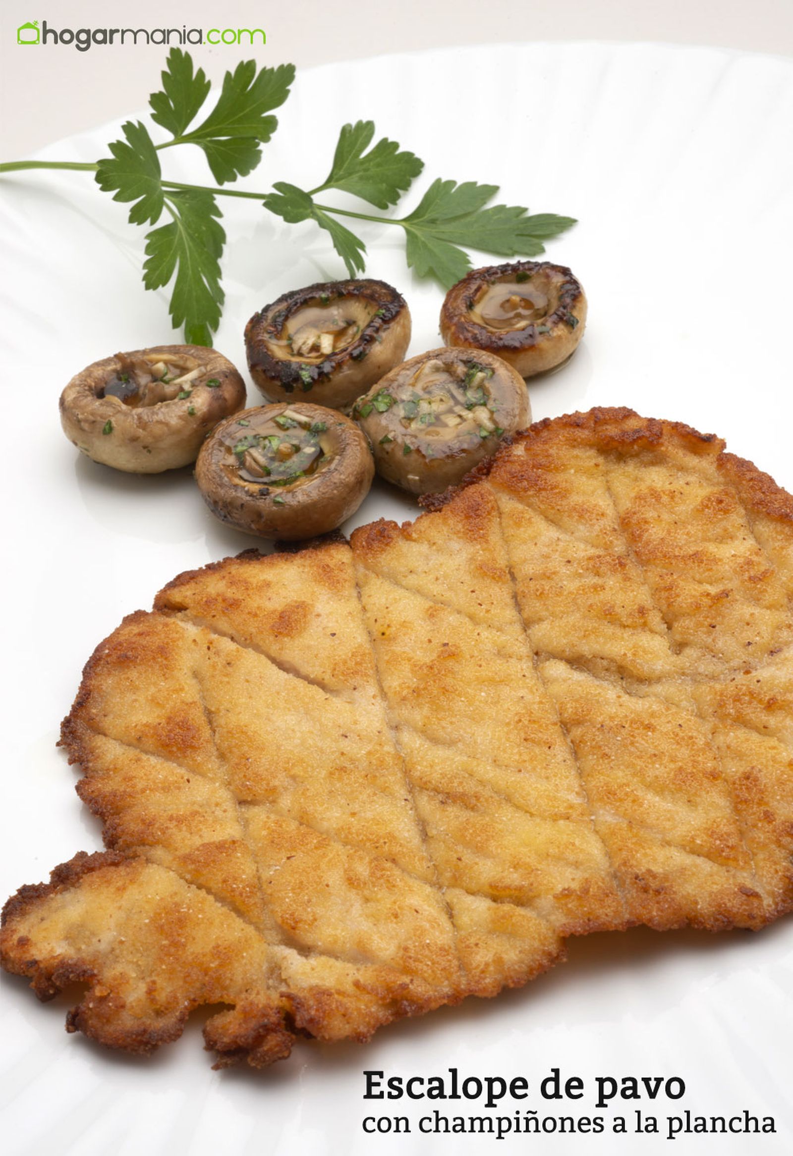 6178 1 Escalope de pavo con champiñones a la plancha vertical xl 6178 1 Escalope de pavo con champiñones a la plancha vertical xl