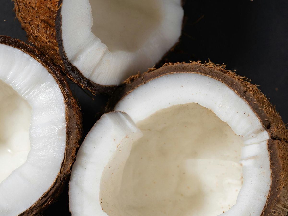 El aceite de coco se extrae de los cocos maduros del cocotero.