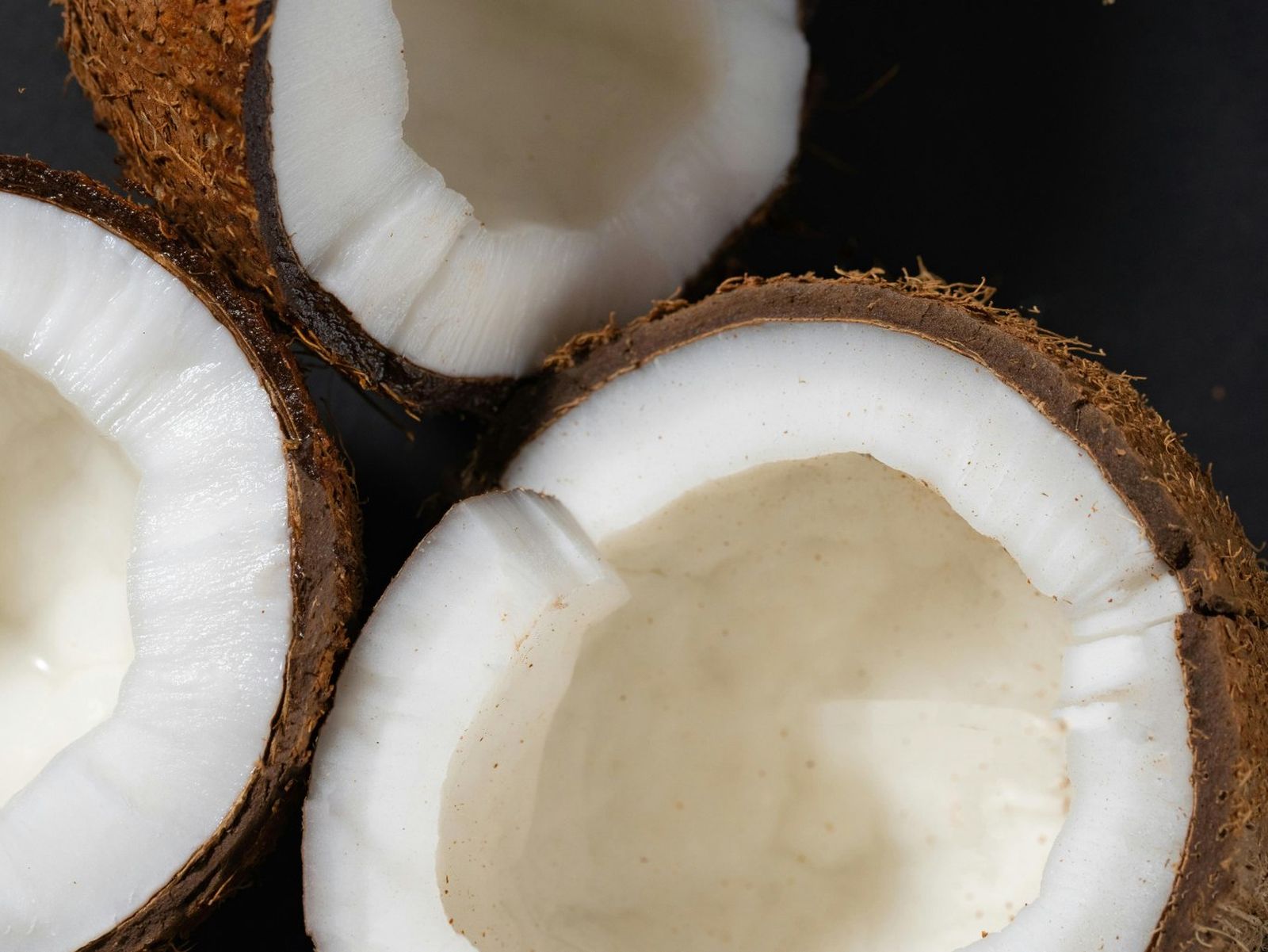 El aceite de coco se extrae de los cocos maduros del cocotero. El aceite de coco se extrae de los cocos maduros del cocotero.