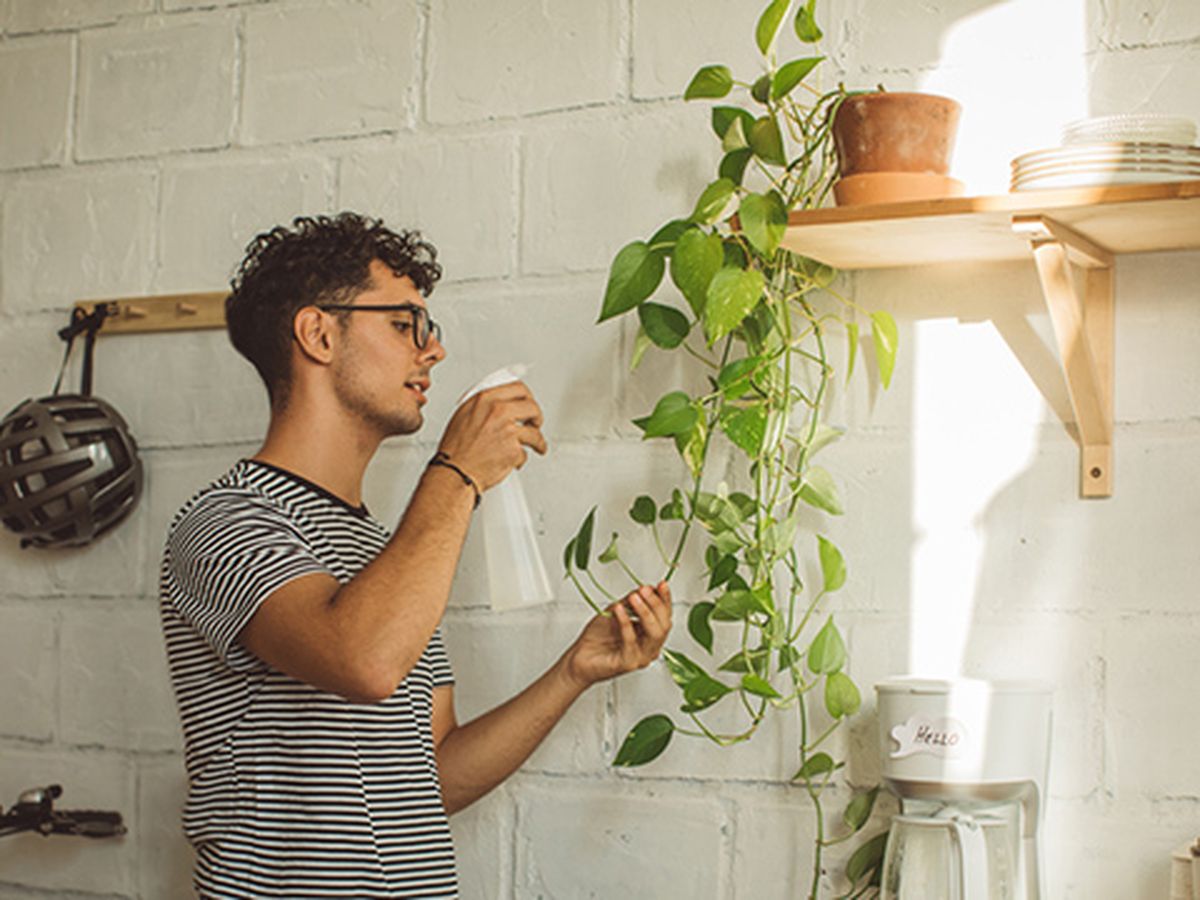 Potos colgante en la cocina.